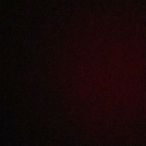 Meet your Posher, Mia